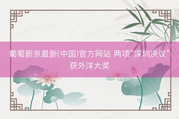 葡萄新京最新(中国)官方网站 两项“深圳决议”获外洋大奖