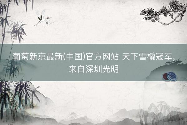葡萄新京最新(中国)官方网站 天下雪橇冠军，来自深圳光明