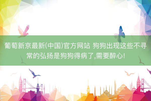 葡萄新京最新(中国)官方网站 狗狗出现这些不寻常的弘扬是狗狗得病了,需要醉心!