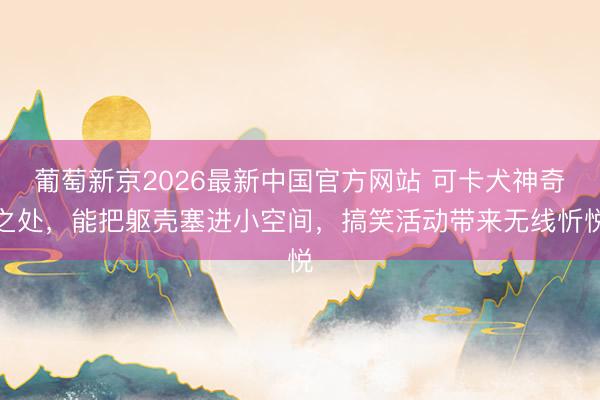 葡萄新京2026最新中国官方网站 可卡犬神奇之处，能把躯壳塞进小空间，搞笑活动带来无线忻悦
