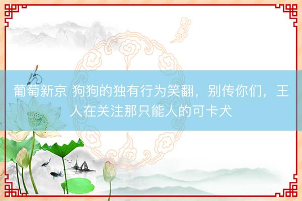 葡萄新京 狗狗的独有行为笑翻，别传你们，王人在关注那只能人的可卡犬