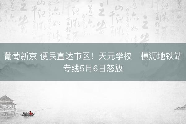 葡萄新京 便民直达市区!天元学校⇄横沥地铁站专线5月6日怒放