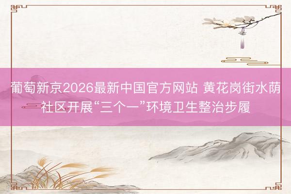 葡萄新京2026最新中国官方网站 黄花岗街水荫社区开展“三个一”环境卫生整治步履