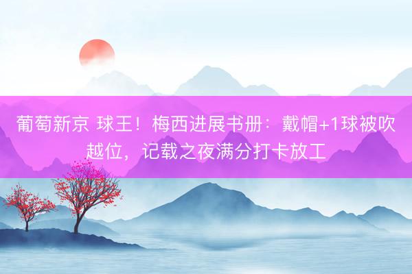 葡萄新京 球王!梅西进展书册:戴帽+1球被吹越位,记载之夜满分打卡放工